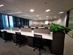 The Heart (D1), Office #525358051